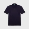 Short-Sleeved Polo In Merlot/Navy Stripe Dark Oxford Pique -Modezzia Sales S71038 2